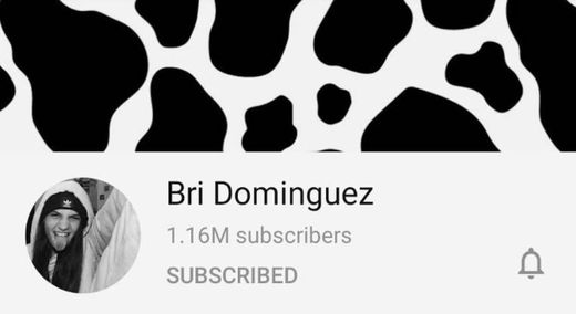 Bri Dominguez- Youtuber 