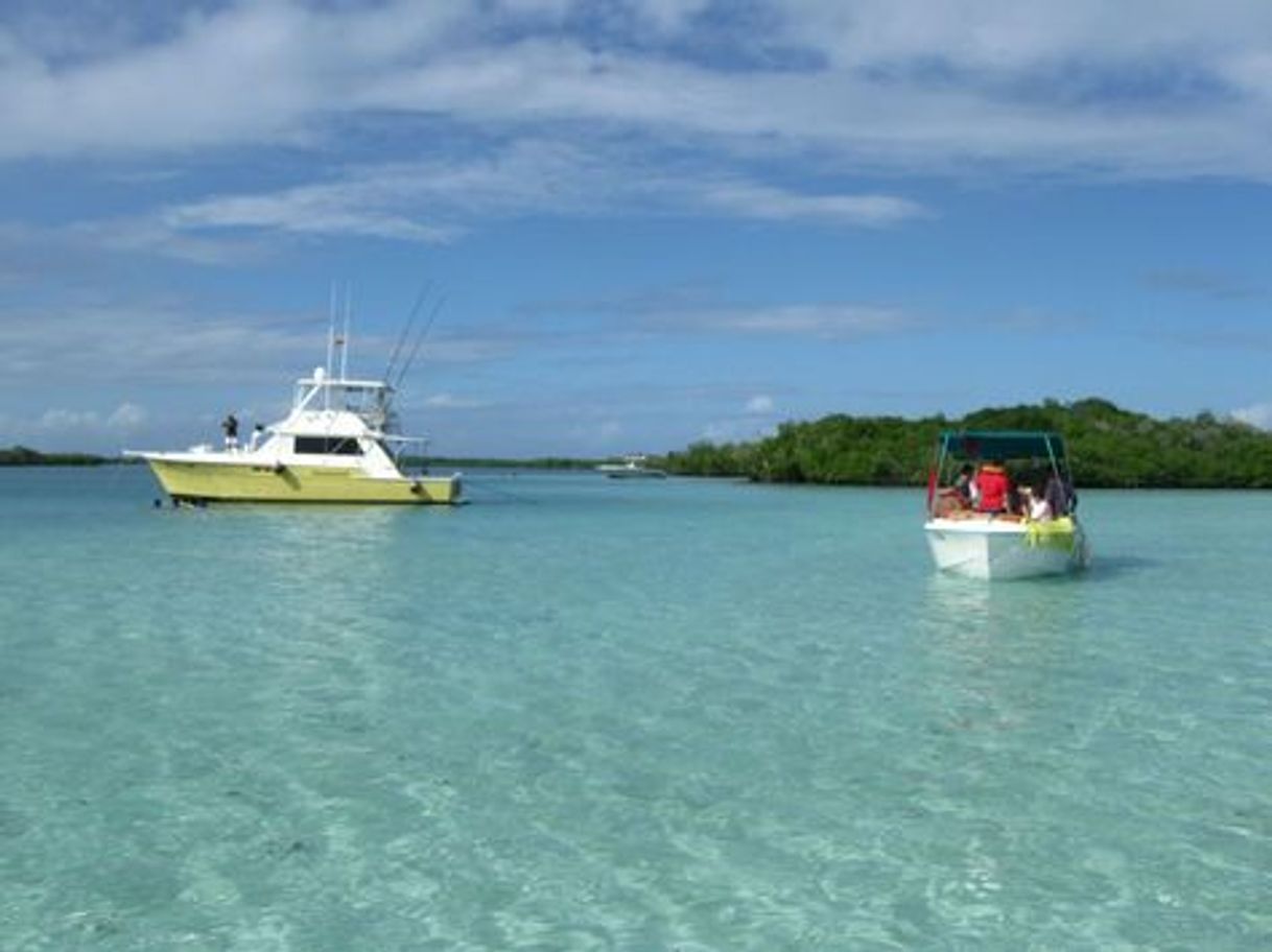 Fashion CAYO LOS JUANES🏖️