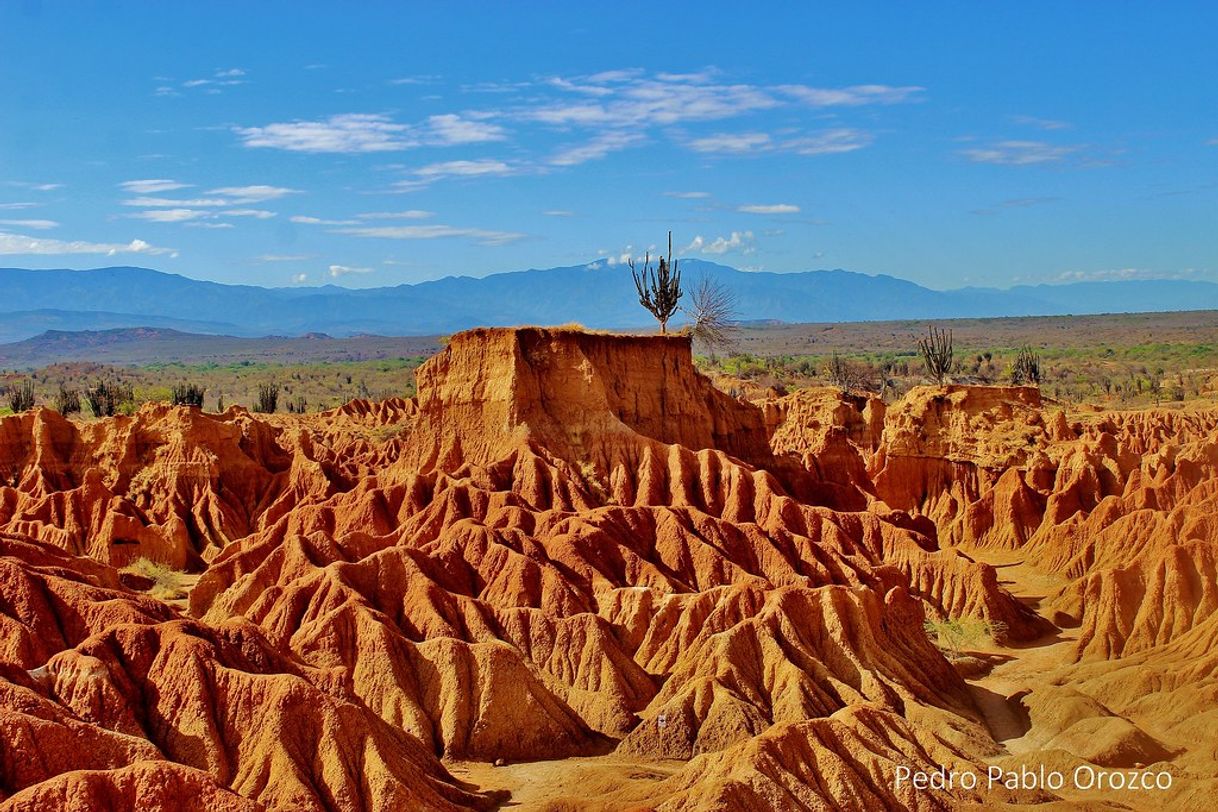 Place Desierto de la Tatacoa