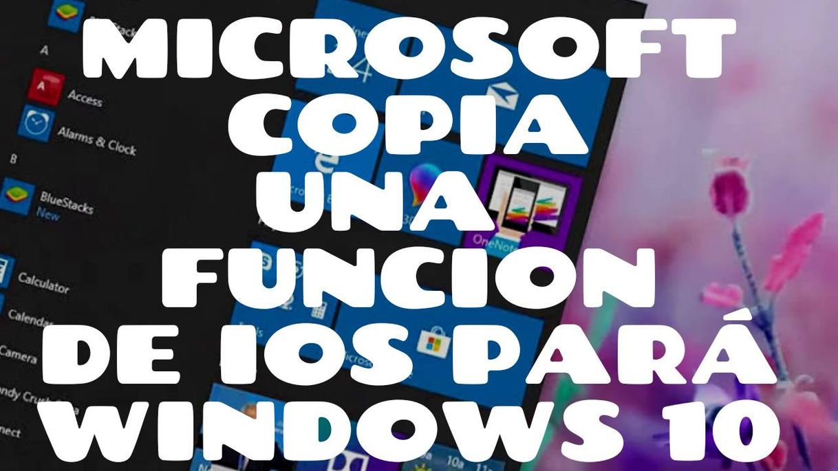 Fashion Windows 10 copia una función de iOS para ahorrar espacio ...