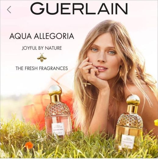 Guerlain🌺