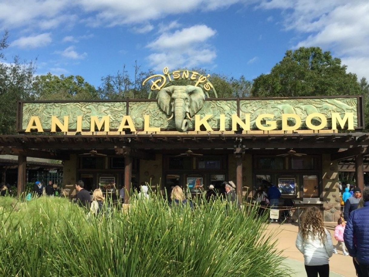 Place Disney's Animal Kingdom Lodge
