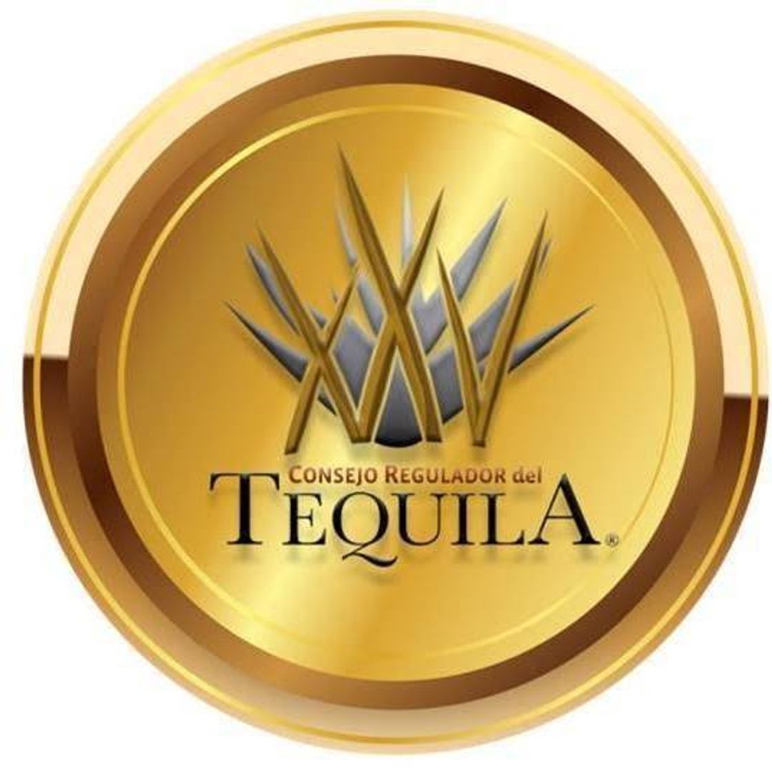 Moda CONSEJO REGULADOR DEL TEQUILA