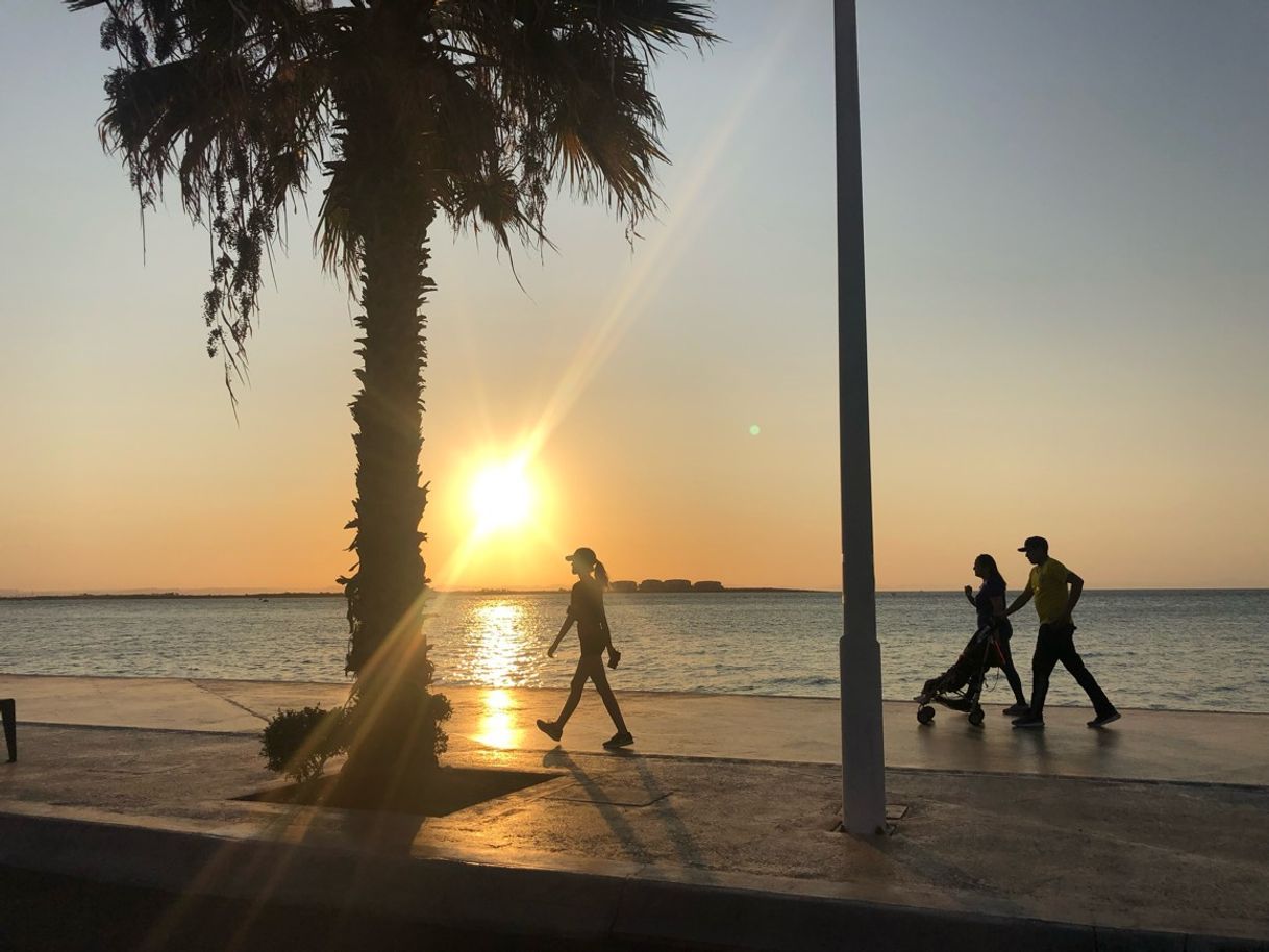 Lugar Malecon La Paz, B.C.S