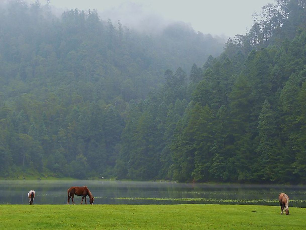 Place Lagunas de Zempoala