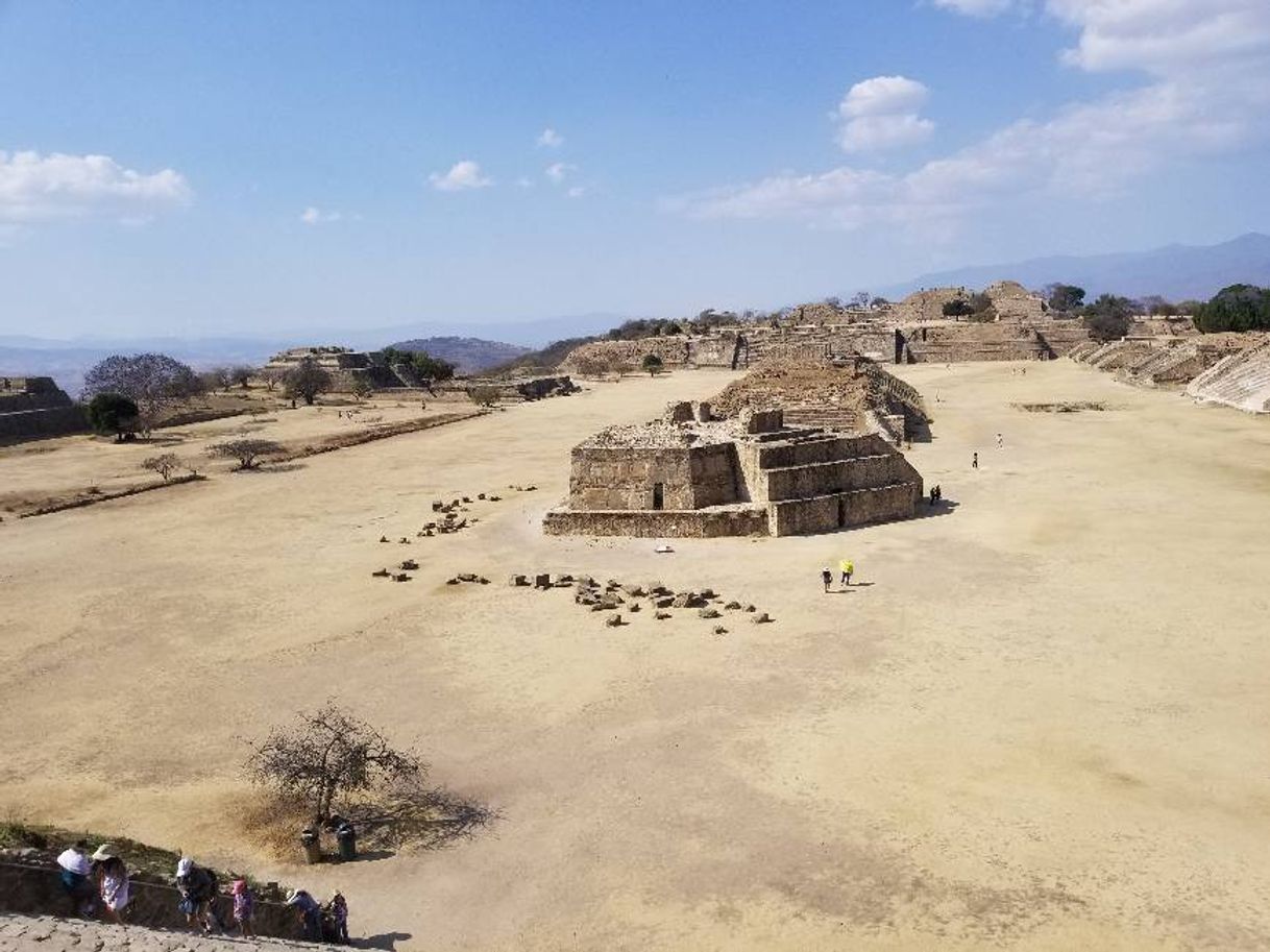 Place Monte Albán