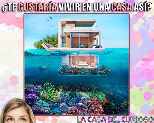 La casa del curioso