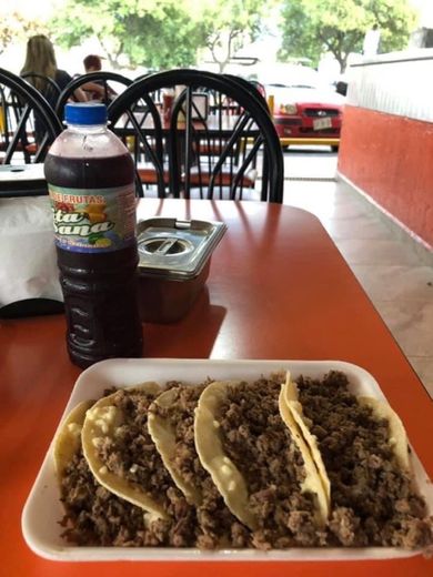 Tacos El Primo Rubio 1