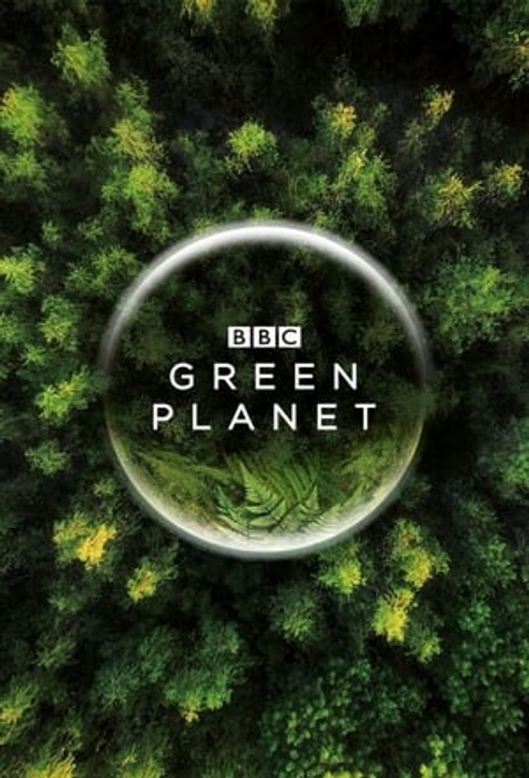 Serie Planeta verde