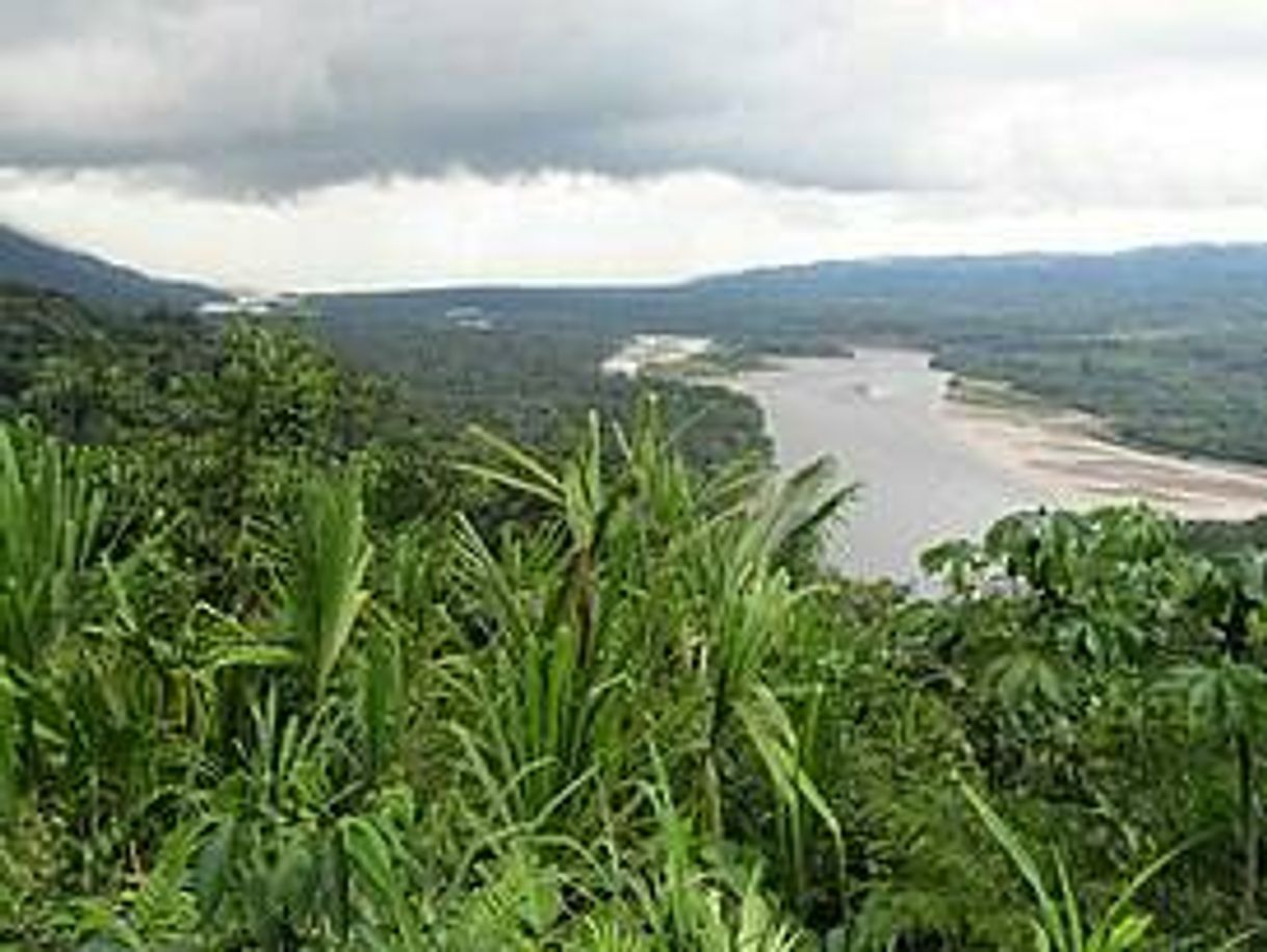 Lugar Parque Nacional del Manu