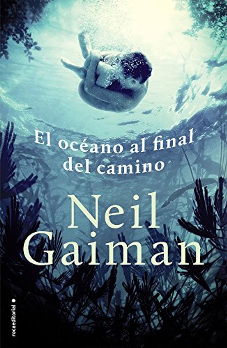 Book El océano al final del camino