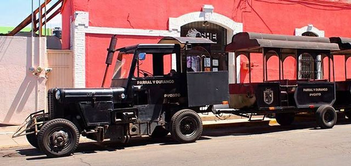 Piojito parral 