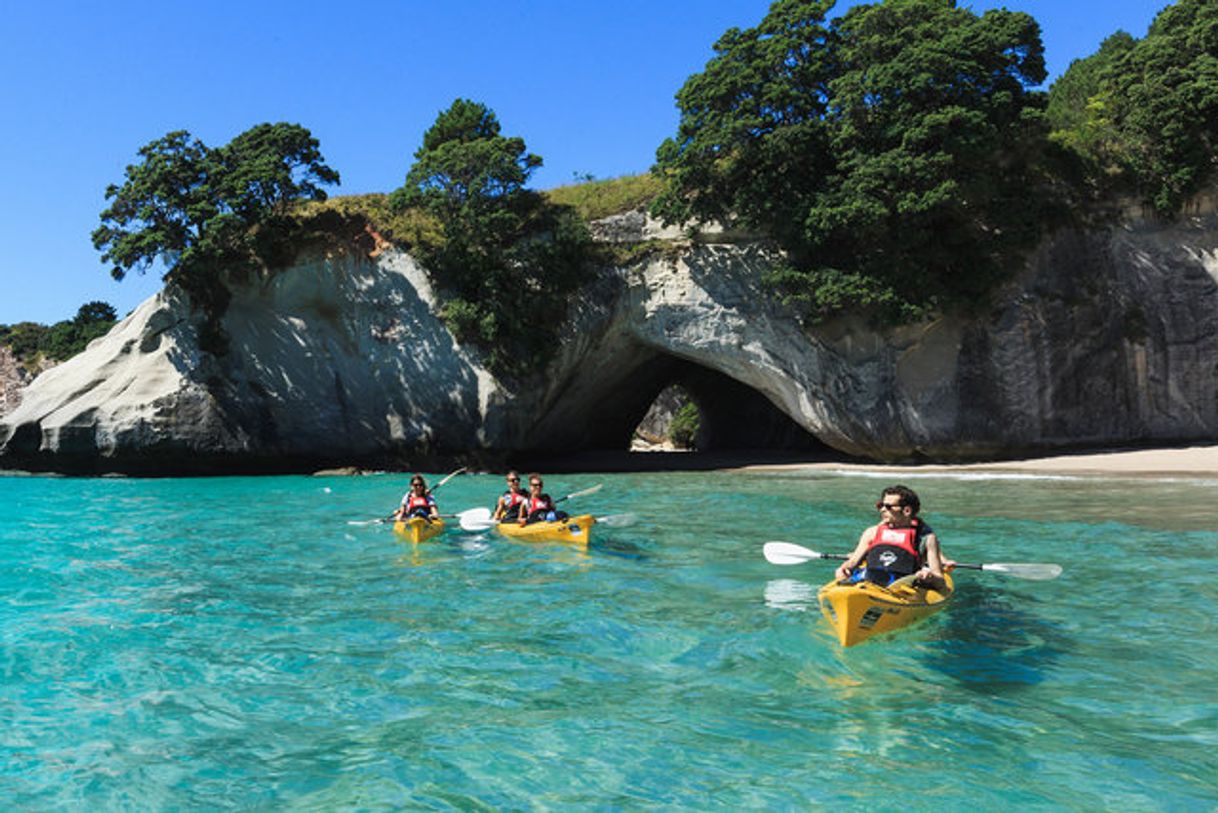 Lugar Coromandel