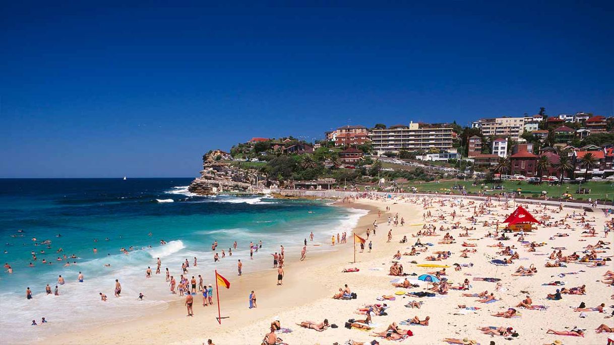 Place Bondi Beach