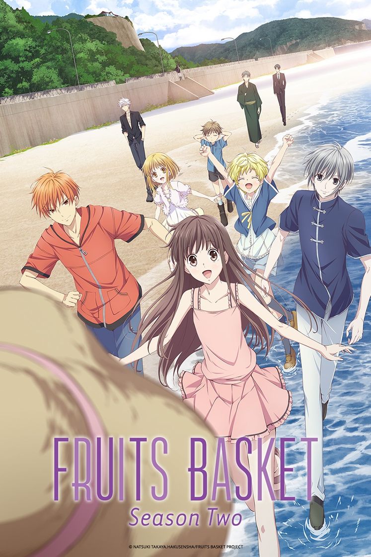 Serie Fruits Basket