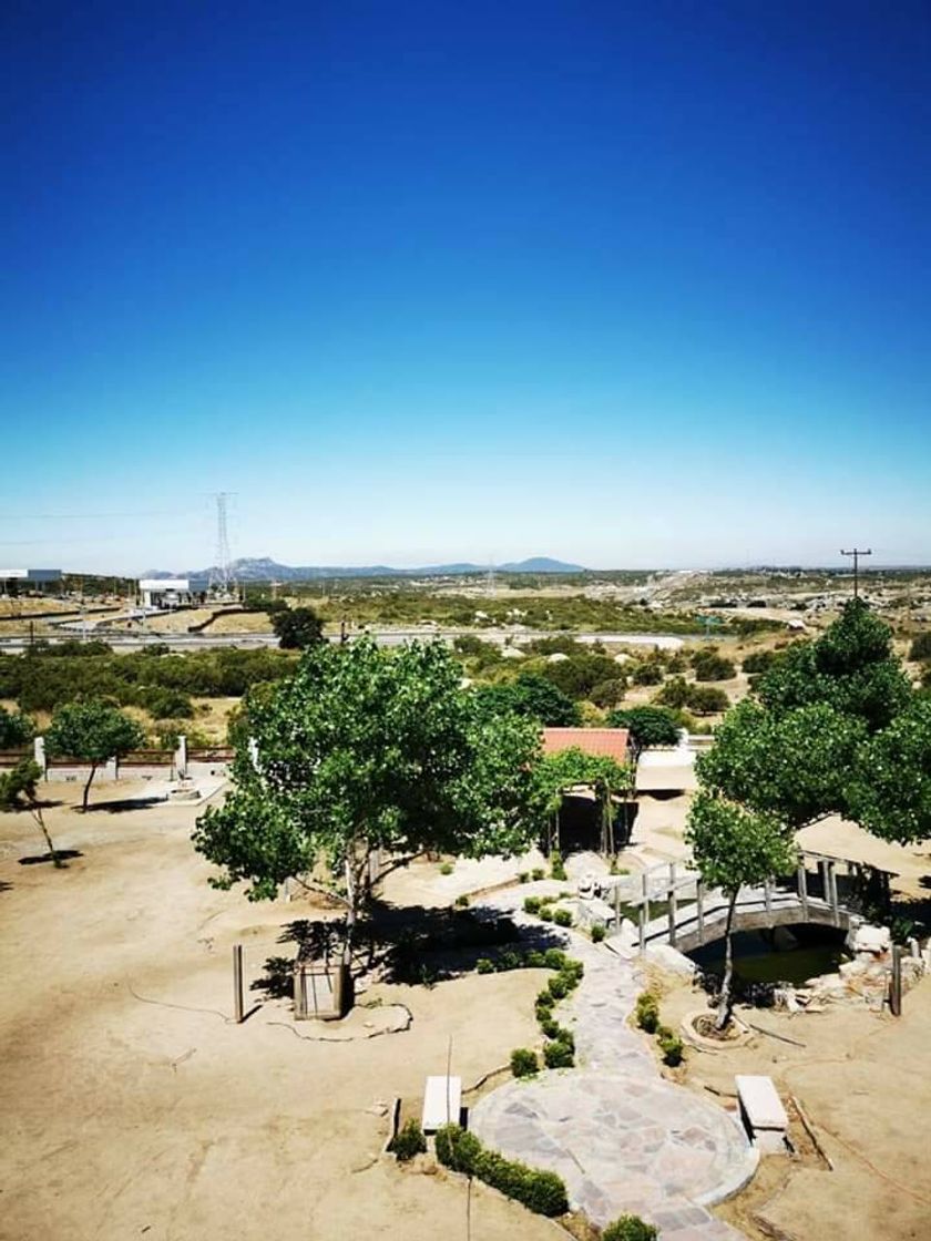 Place Peyotes Ranch