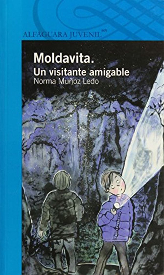 Book Moldavita