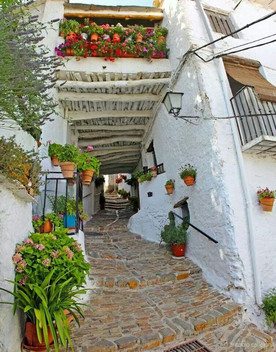 Place La Alpujarra