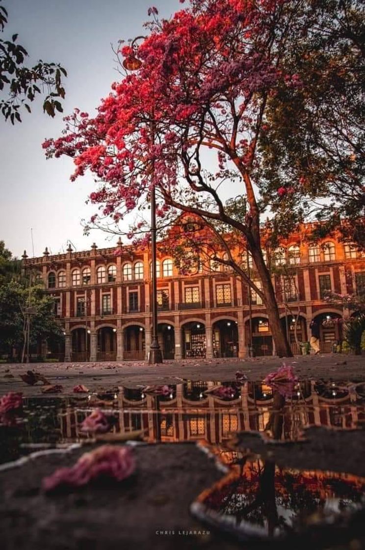 Lugar Cuernavaca