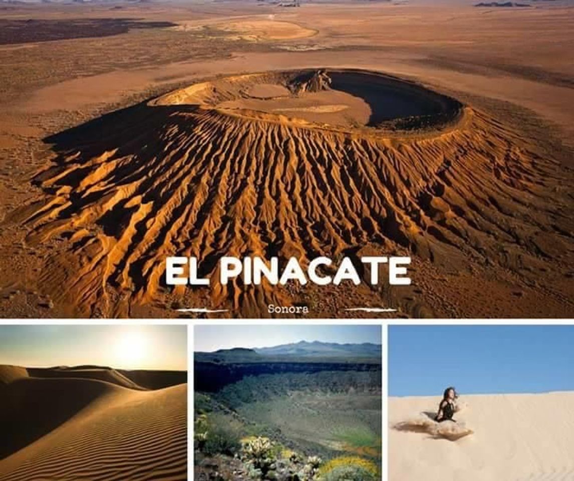 Place Reserva de la Biosfera El Pinacate y Gran Desierto de Altar