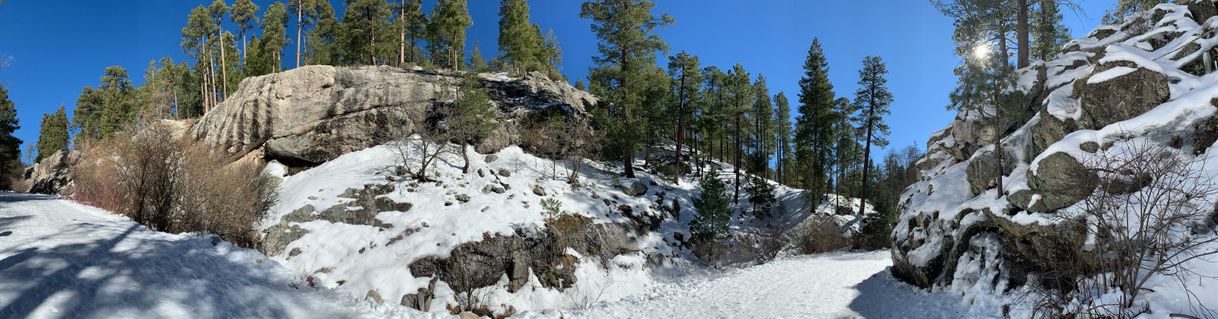 Place Mount Lemmon