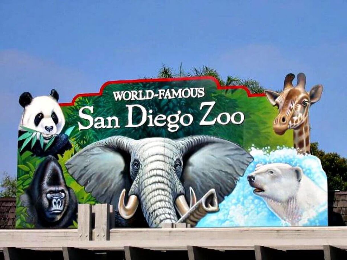 Lugar San Diego Zoo