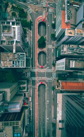 AVENIDA PAULISTA