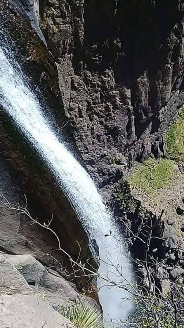 Lugar Cascada de Basaseachi