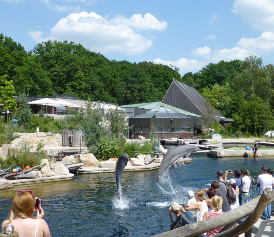 Lugar Nürnberg Zoo