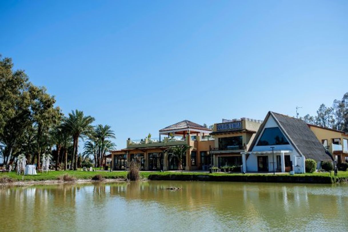 Restaurants Restaurante La Albufera