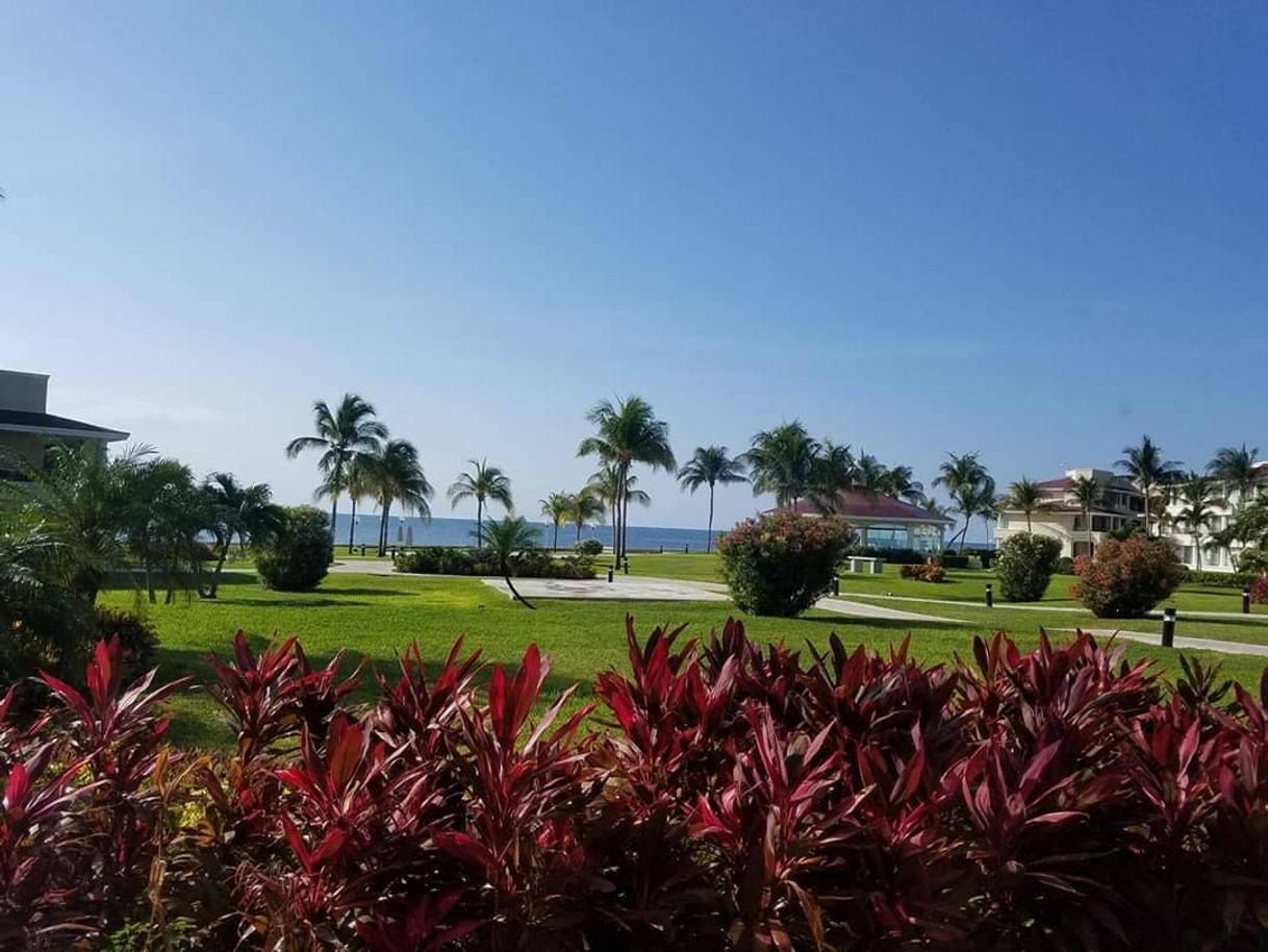 Place Moon Palace Cancun® All Inclusive Resort