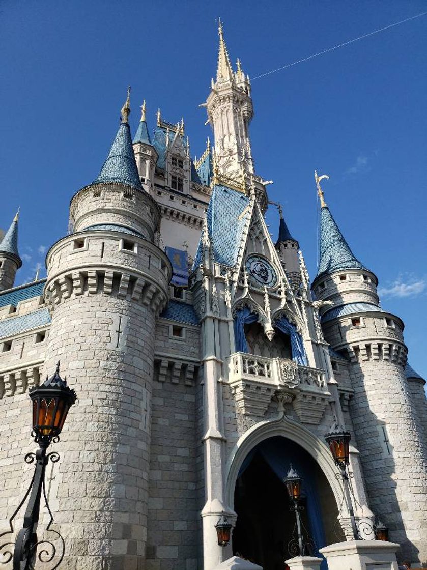 Place Magic Kingdom Park