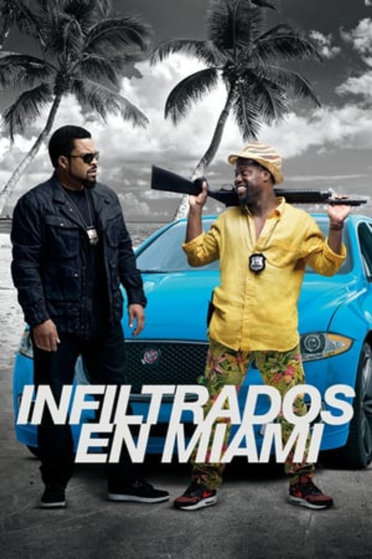 Movie Infiltrados en Miami