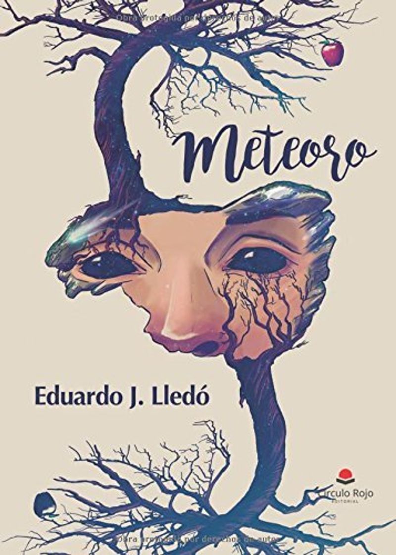 Book Meteoro