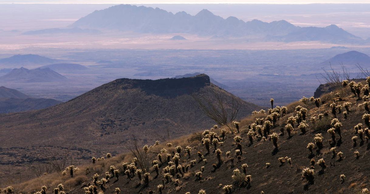 Place Reserva de la Biosfera El Pinacate y Gran Desierto de Altar