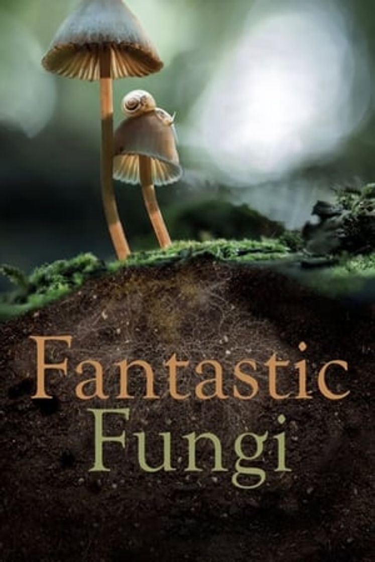 Movie Hongos Fantásticos