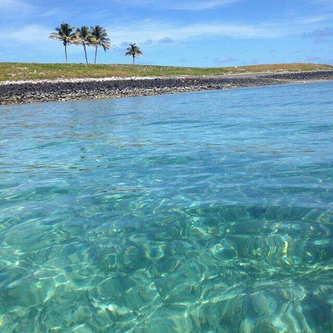 Place Arquipélago de Abrolhos