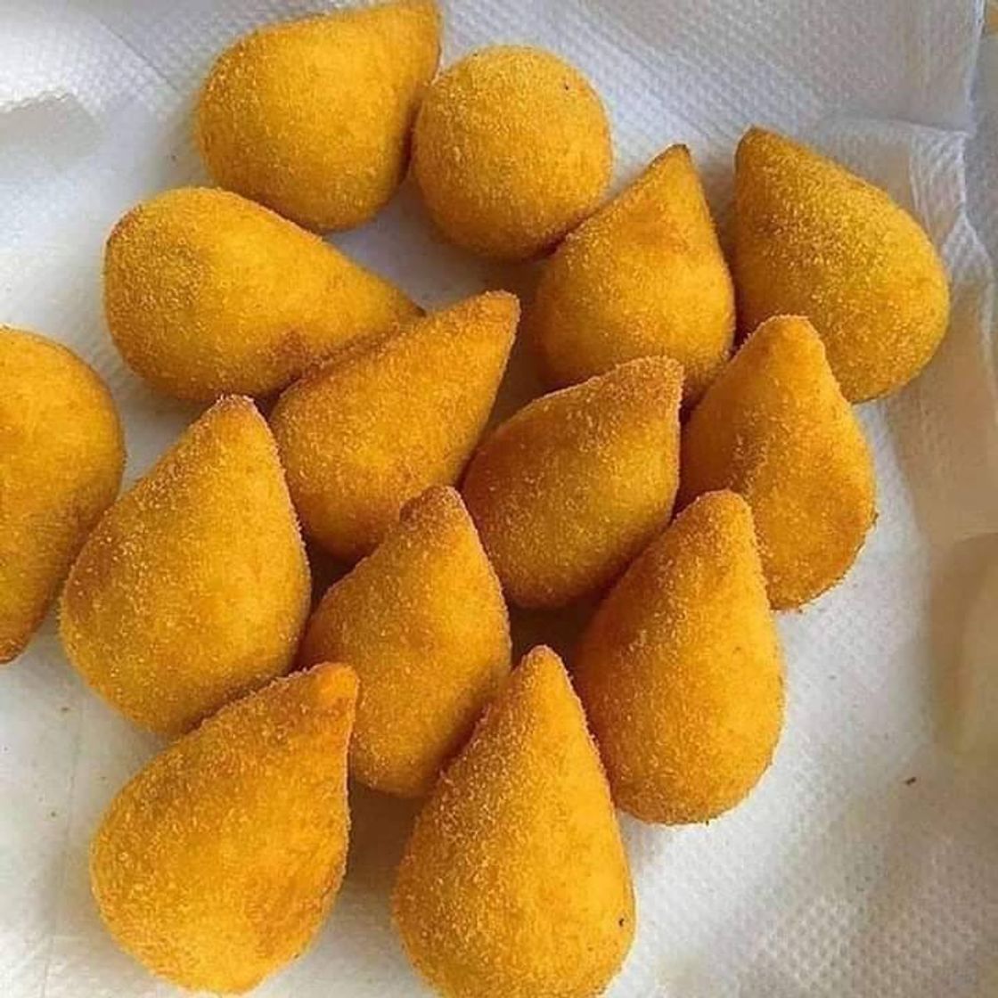 Fashion Coxinha 