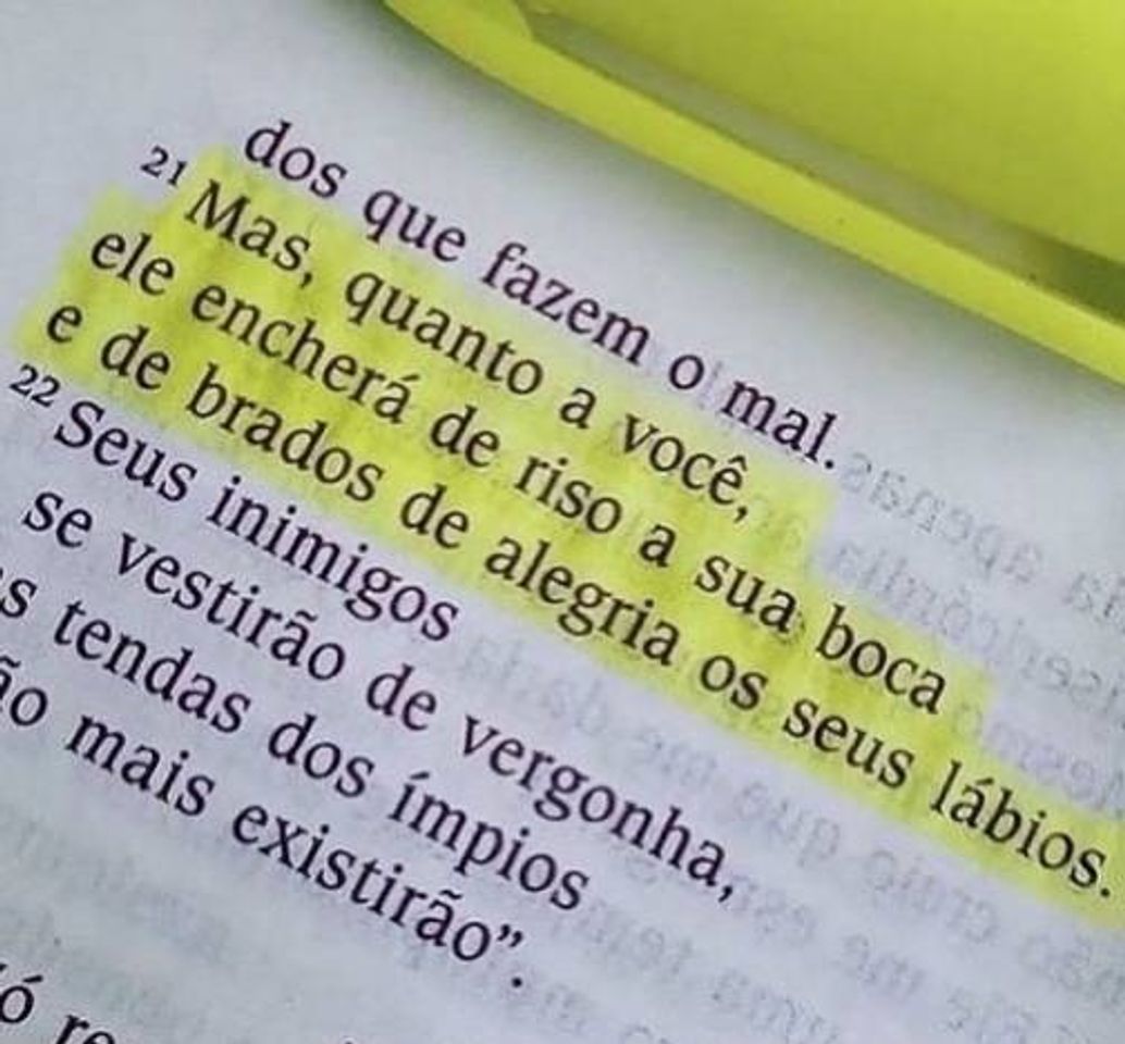 Libros Jó 8:21