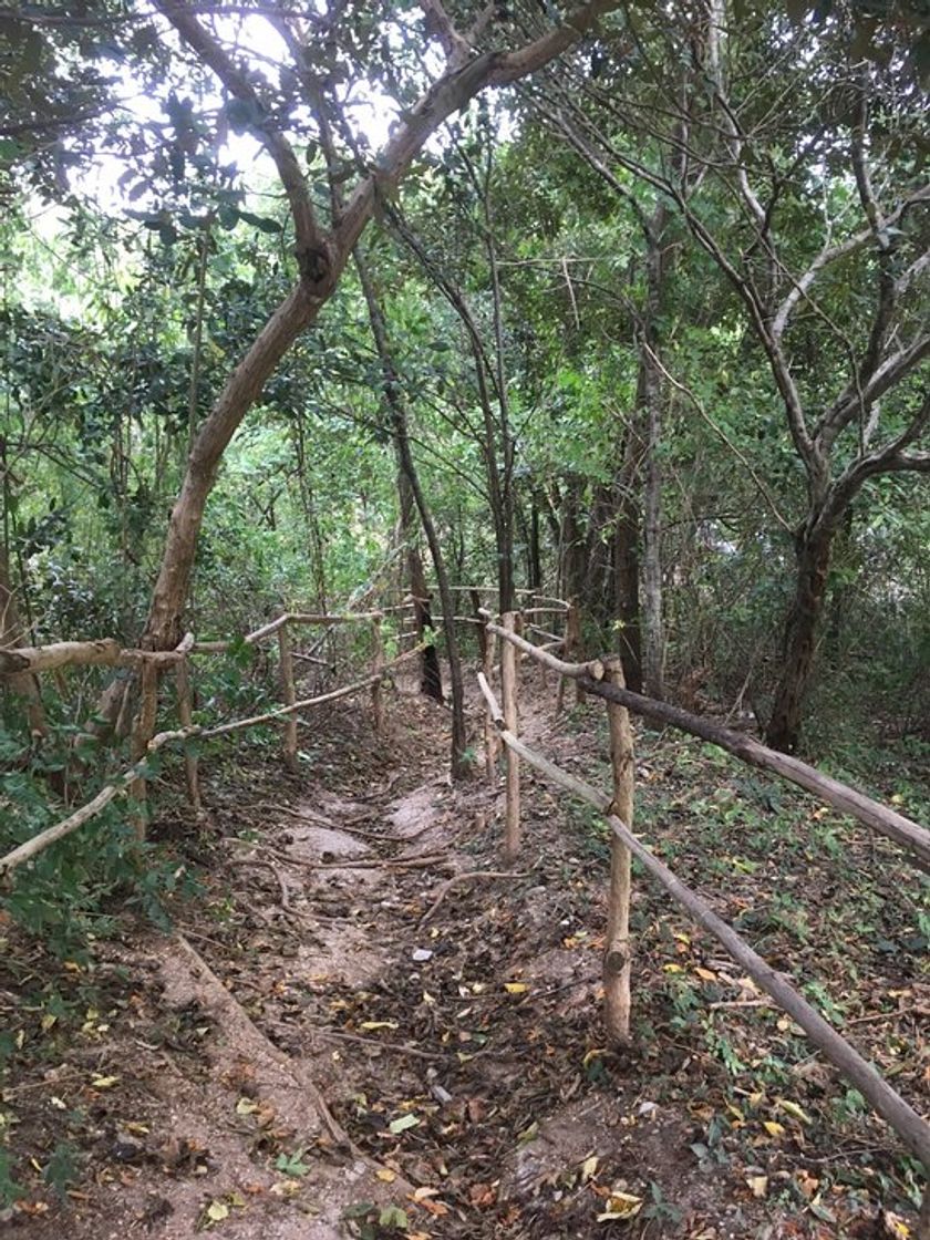 Lugar Parque Biotemático Megua