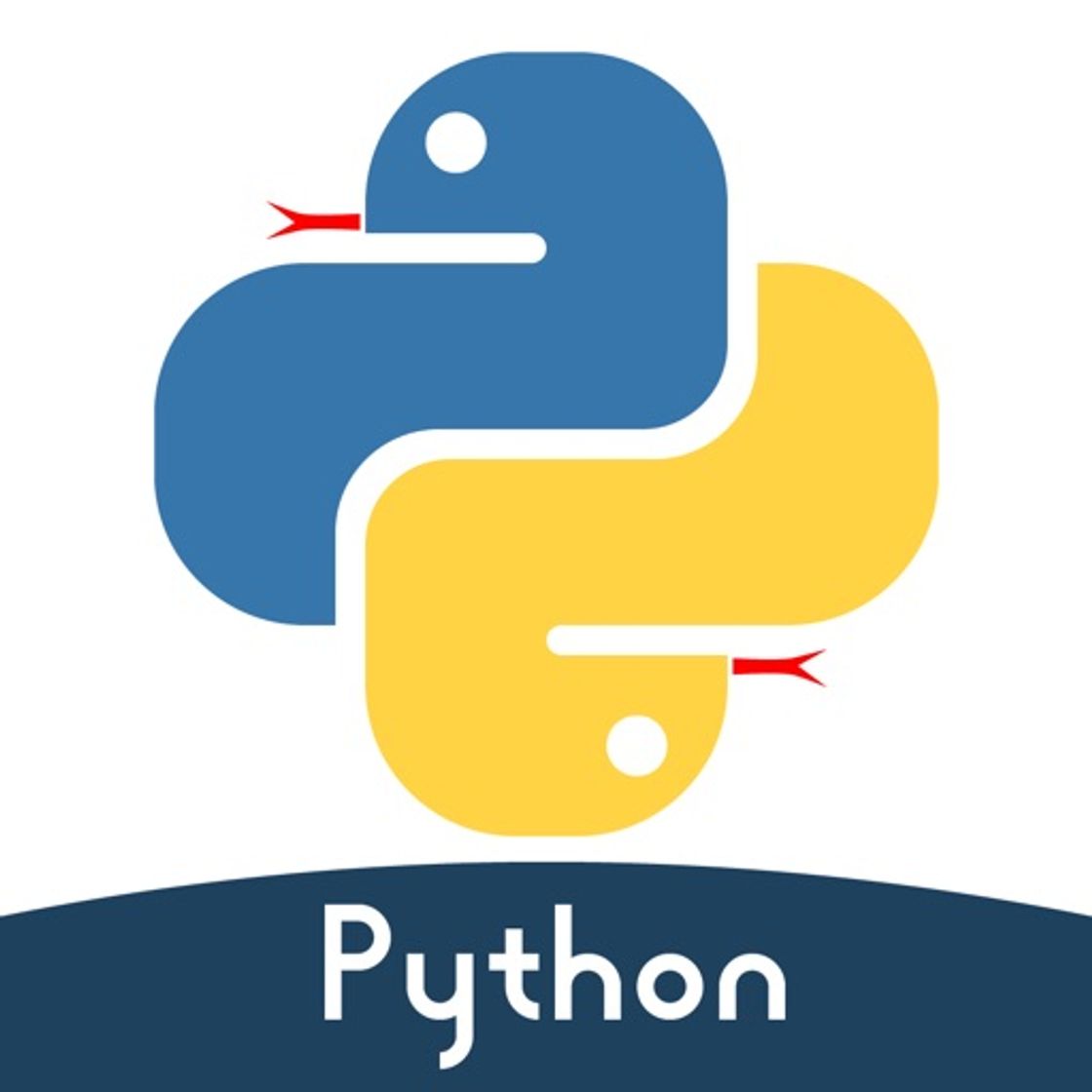 App Python编程狮-随时随地学Python