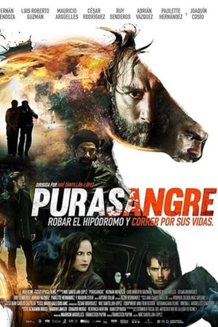 Película Purasangre