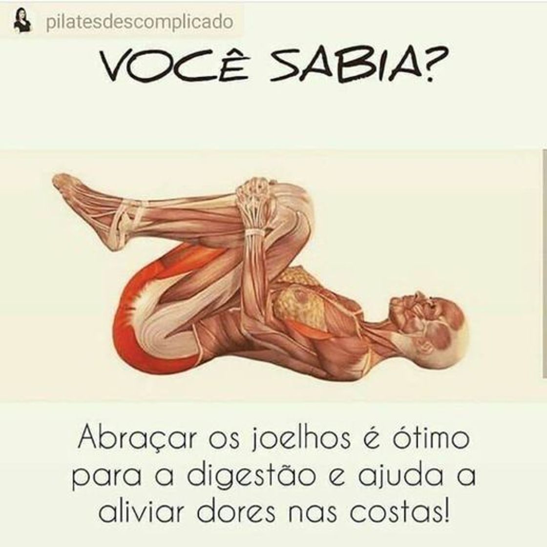 Moda Você sabia? 