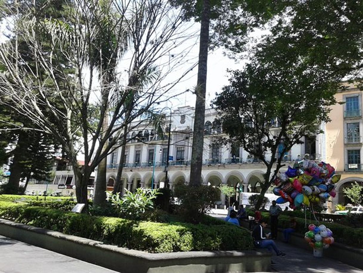 Place Parque Juárez