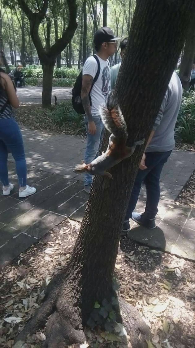 Lugar Zoológico de Chapultepec
