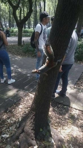 Zoológico de Chapultepec