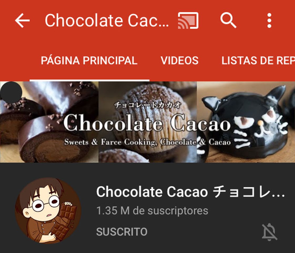 Moda Chocolate Cacao