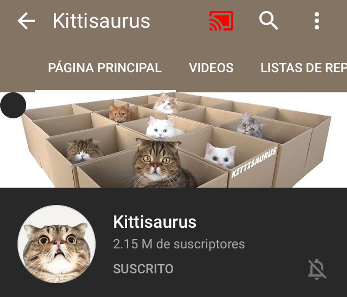 Moda Kittisaurus