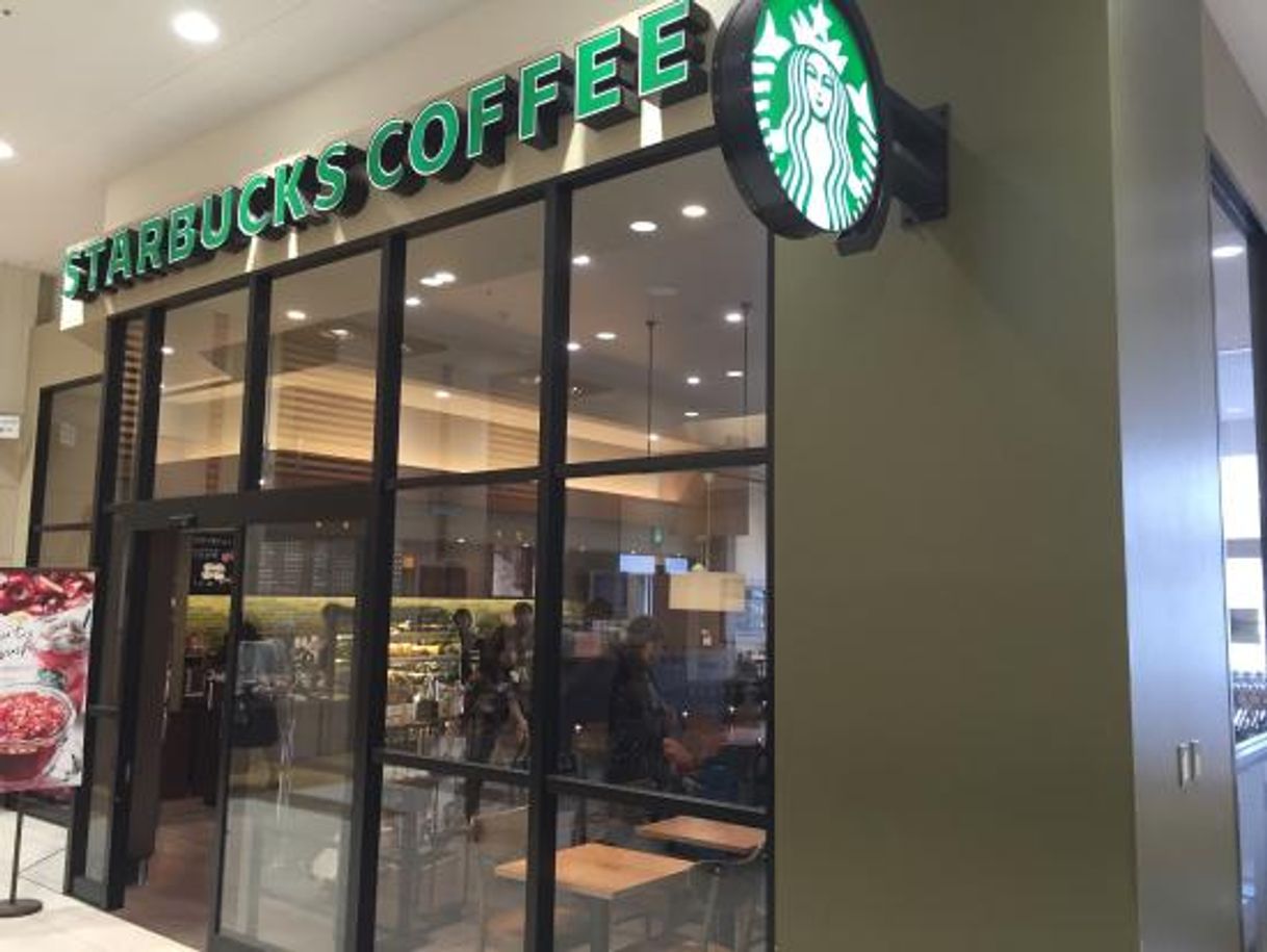 Restaurants Starbucks Coffee | Albook Mall