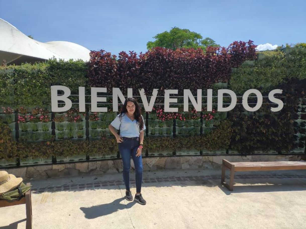 Lugar Jardines de México